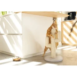 Designed by Lotte Houten Krabpaal Cactus Wit 35 x 35 x 60 cm