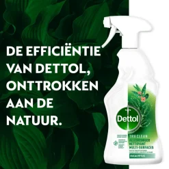 Dettol Allesreiniger Spray Eucalyptus 500 ml