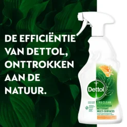 Dettol Allesreiniger Spray Mandarijn & Citroenbloesem 500 ml