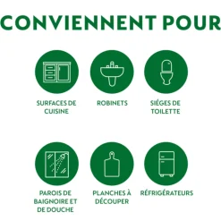 Dettol Reinigingsdoekjes Tru Clean Eucalyptus & Lime 48 stuks