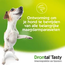 Drontal Dog Flavour Ontworming Tabletten Vanaf 10 kg 6 tabletten