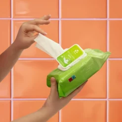 Easyglide Wipes Toy Cleaning 100 stuks