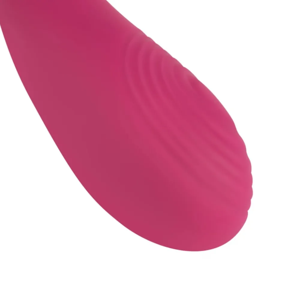 Easytoys Multifunctionele Koppel Vibrator met Armen