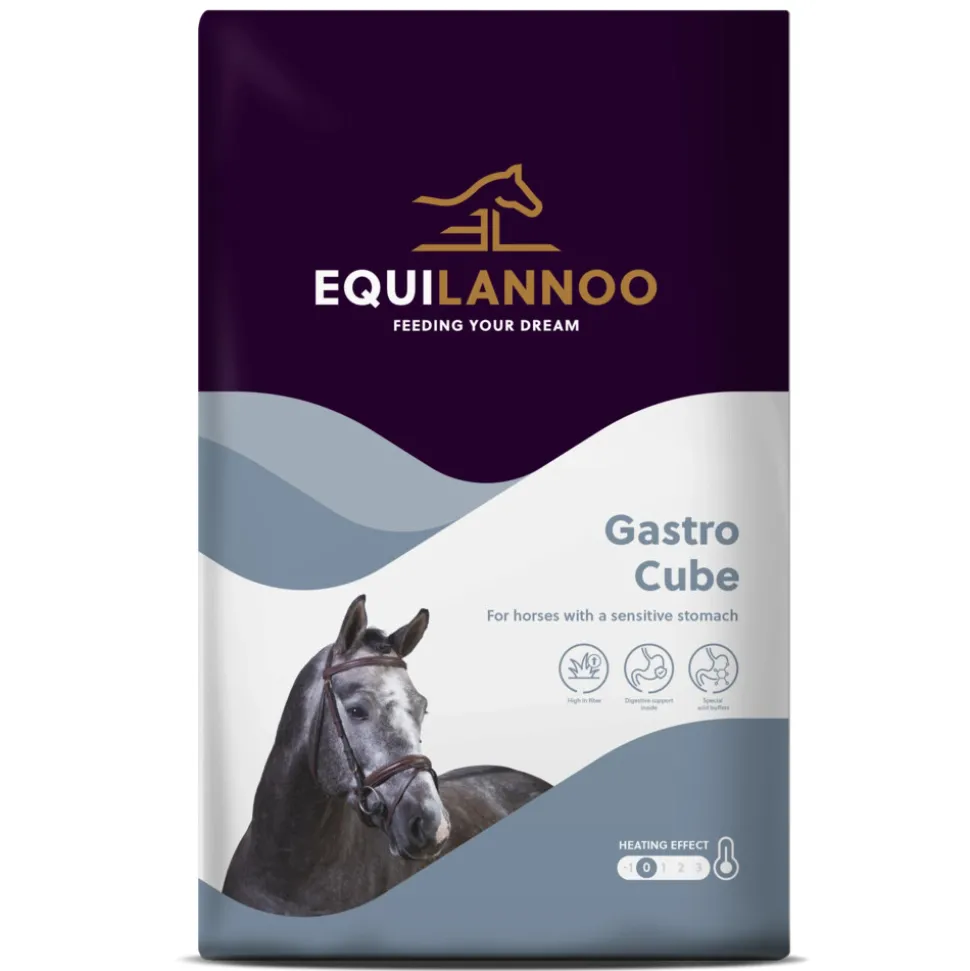 Equilannoo Gastro Cube 20 kg