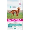 Eukanuba Daily Care Sensitive Digestion Medium Hondenvoer 12 kg