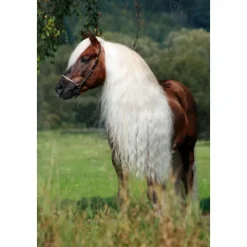 Excellent Hi Gloss Gel 250 ml