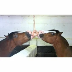 Excellent Salt Lick Himalaya 2-3 kg