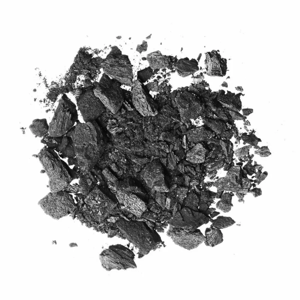 Garnier SkinActive Pure Active Charcoal Neusstrips 4 stuks