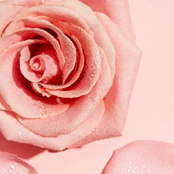 Garnier SkinActive Rozenwater Micellair Reinigingswater 400 ml