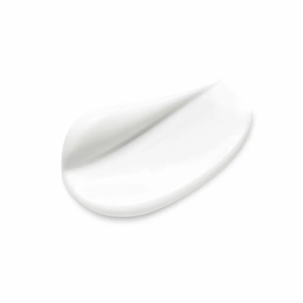 Garnier SkinActive Rozenwater Botanische Dagcrème 50 ml