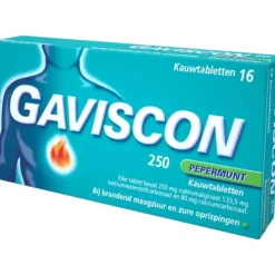Gaviscon Gaviscon 250 mg Pepermunt Kauwtabletten 16 tabletten