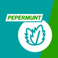 Gaviscon Gaviscon 250 mg Pepermunt Kauwtabletten 16 tabletten