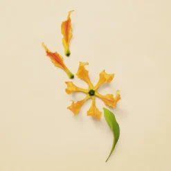 Gucci Guilty Pour Femme Eau de Parfum 90 ml