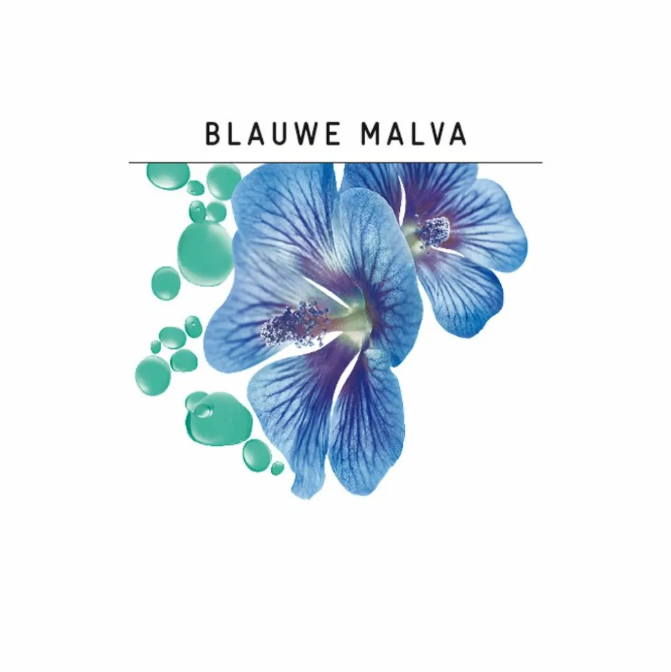 Guhl Shampoo Anti Roos 250 ml