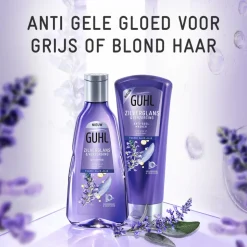 Guhl Zilverglans - Shampoo 1x 250 ml & Haarmasker 1x 200 ml - Pakket
