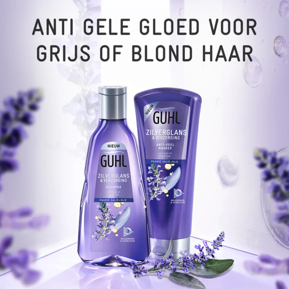 Guhl Zilverglans - Shampoo 1x 250 ml & Haarmasker 1x 200 ml - Pakket