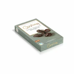 Guylian Chocolade Zeevruchten Dark Praline 112 gr