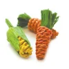Happy Pet Sisal Wortels en Mais Mini Oranje - Groen - Geel 3 stuks