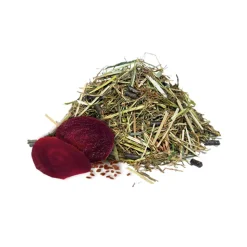 Hartog Paardenvoer Complete Care Senior 15 kg