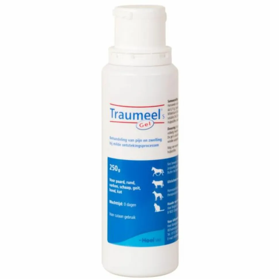 Heel Traumeel S Veterinair Gel 250 gr