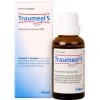 Heel Traumeel S Druppels 100 ml