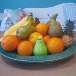 HG X Fruitvliegjesval Navulling 40 ml