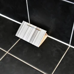 HG X Zilvervisjesval