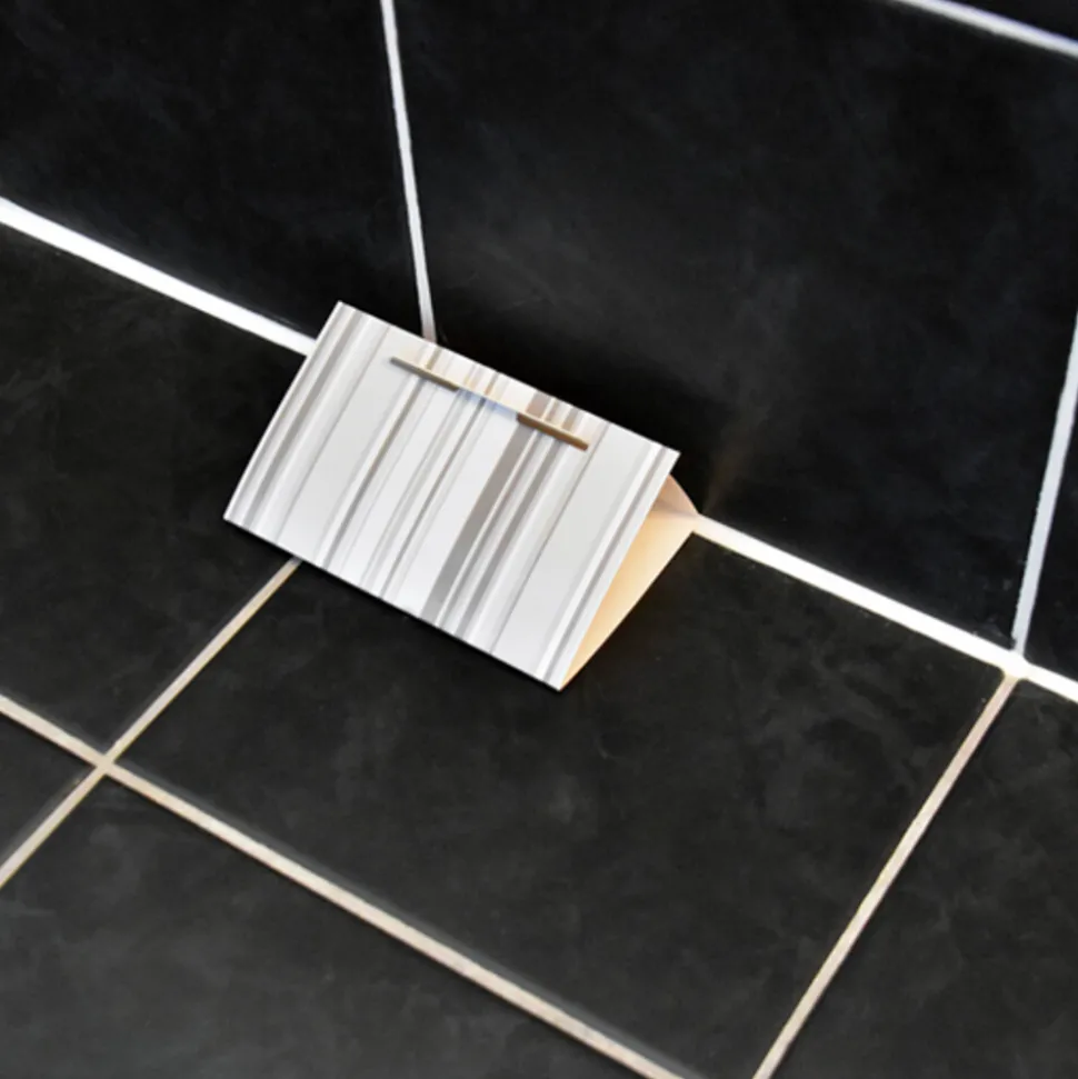 HG X Zilvervisjesval