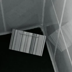 HG X Zilvervisjesval