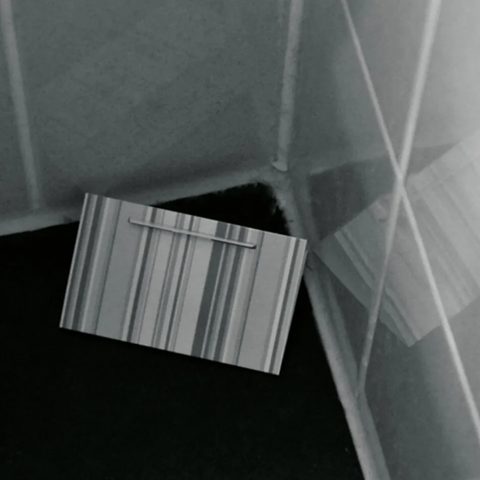 HG X Zilvervisjesval