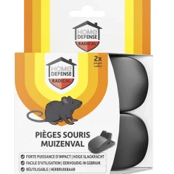 Home Defense Muizenval Kunststof 2 stuks