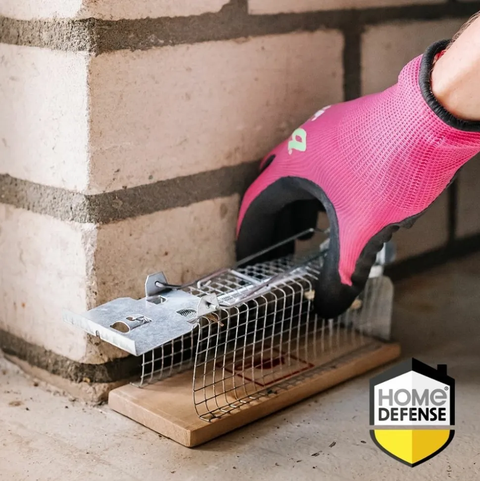 Home Defense Muizenvangkooi Hout
