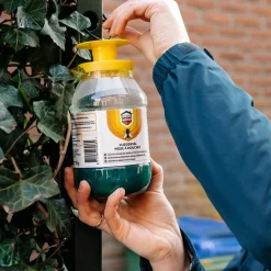 Home Defense Vliegenval met Lokstof