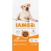 IAMS Dog Adult Large Kip 12 kg