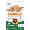 IAMS Kat Adult Lam 3 kg