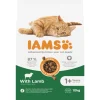 IAMS Kat Adult Lam 10 kg