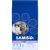 IAMS Kat Adult Multi-Kat Kip & Zalm 15 kg