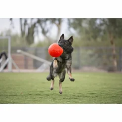 Jolly Pets Soccer Ball Oceaan Blauw ø 20 cm