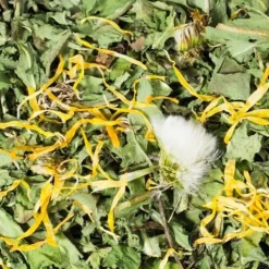 JR Farm Paardenbloemen 500 gr