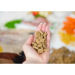 Kivo Lam & Rijst Glutenvrij 4 kg