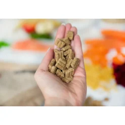 Kivo Zalm & Rijst Glutenvrij 4 kg