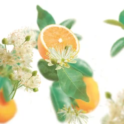 Kneipp Badolie Pure Harmony Sinaasappel - LindebloesemOntspan en kom tot rust met de Kneipp® Badolie Pure Harmony. Het hoge percentage etherische sinaasappelolie en lindebloesemextract in combinatie met de warme oranje kleur van het badwater werkt harmoniserend.Dermatologisch getestNiet parfumvrijPH NeutraalProefdiervrijVeganGeschikt voor alle huidtypen Gevarenaanduidingen Ontvlambaar Milieugevaarlijk Zeer licht ontvlambaar gas. Zeer licht ontvlambare aerosol. Zeer licht ontvlambare vloeistof en damp. Licht ontvlambare vloeistof en damp. Ontvlambare vaste stof. Ontvlambare aerosol. Ontvlambare vloeistof en damp. Zeer giftig voor in het water levende organismen. Zeer giftig voor in het water levende organismen, met langdurige gevolgen. Giftig voor in het water levende organismen, met langdurige gevolgen. Aanvullende informatie Hoe te gebruiken?Schroefdopje 1 keer vullen en badolie toevoegen aan het water (36-38ºC). Duur van het bad: 15-20 min. Dopje omspoelen.Ingrediënten:Polysorbate 20, Aqua (Water), Limonene, Linalool, Citrus Aurantium Dulcis (Orange) Peel Oil, Citrus Aurantium Amara (Bitter Orange) Leaf/Twig Oil, Parfum (Fragrance), Tilia Cordata Flower Extract, Geraniol, Citral, Citronellol, Benzyl Salicylate, Eugenol, Caprylic/Capric Triglyceride, Tocopherol, CI 15985. Ingrediënten Polysorbate 20, Aqua (Water), Limonene, Citrus Aurantium Amara (Bitter Orange) Oil, Parfum (Fragrance), Linalool, Citrus Aurantium Dulcis (Orange) Oil, Tilia Cordata Flower Extract, Citronellol, Benzyl Benzoate, Geraniol, Farnesol, Eugenol, Citral, Tocopherol, CI 15985. Bevat geen:conserveringsmiddelen Fabrikant informatie Merk: Kneipp Ean: 4008233032870 Artikel: 1000-784 Fabrikant gegevens: Kneipp Adres: Vliegend Hertlaan 49 3526 KT Utrecht Nederland Contactgegevens: Tel: 030 281 3300 Email: [email protected] Website: https://www.kneipp.com Reviews Schrijf jouw review Hoe controleren en plaatsen wij reviews? Plein plaatst enkel reviews van klanten en personen die het product daadwerkelijk gebruikt hebben, ook wanneer deze negatief of neutraal is. Voordat de review geplaatst wordt controleren we handmatig of deze écht is en voldoet aan onze reviewvoorwaarden. Wanneer het product op Plein gekocht is vermelden we dat bij de review. Plein betaalt niet voor reviews, wanneer een reviewer door een andere partij is vergoed staat dit erbij vermeld. Door Elien op 1 september 2022 | Heeft dit product gekocht Deze review is geschreven bij product Kneipp Badolie Soft Skin Amandelbloesem 100 ml Verrukkelijke badolie met heerlijke geur en lekkere olie geen Super lekkere badolie Oorspronkelijk geplaatst op plein.nl Door Lydia Maria op 13 mei 2020 | Heeft dit product gekocht Deze review is geschreven bij product Kneipp Badolie New Energy Rozemarijn 100 ml Zalig badmoment met deze olie Lekker genieten Heerlijke geur Super zacht en voedend voor de huid Mag ietsje beterkoop daar je in verhouding meer verbruikt dan badcreme of badschuim Heerlijk relaxen en tegelijk je huid laten verwennen met deze badolie van Kneipp Oorspronkelijk geplaatst op plein.nl Door Morvenna op 17 december 2014 | Heeft dit product gekocht Deze review is geschreven bij product Kneipp Badolie Relaxing Lavendel 100 ml Lekkere badolie, vooral in de winter als het koud is, kan je heerlijk ontspannen. Al een paar jaar mijn favoriet. Oorspronkelijk geplaatst op plein.nl Door Els op 11 december 2014 | Heeft dit product gekocht Deze review is geschreven bij product Kneipp Badolie Refreshing Eucalyptus 100 ml Heerlijk na een week drukte Frisse geur Lichaam en geest komen tot rust erg lekkere badolie. Als ik het een weekje druk gehad heb kan ik altijd heerlijk relaxen door de frisse geur. Echt een aanrader Oorspronkelijk geplaatst op plein.nl Bekijk alle reviews 6x Kneipp Badolie Pure Harmony Sinaasappel - Lindebloesem 100 ml