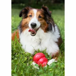 Kong Classic Rood L