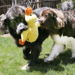 Kong Comfort Jumbo Eend XL