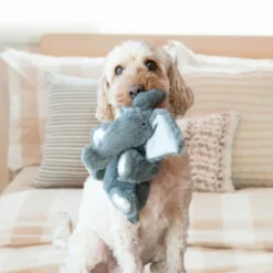 Kong Comfort Kiddos Olifant XS