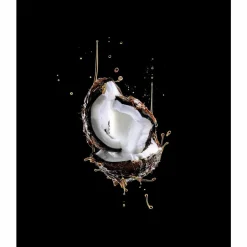 L'Oréal Elvive Extraordinary Oil Haarmasker Kokos 300 ml