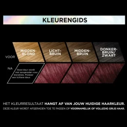 L'Oréal Preference Vivids Permanente Haarkleuring 5.260 Violet