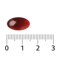 Lucovitaal Omega 3 Krill olie 500 mg 60 capsules