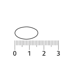 Lucovitaal Sterk IJzer Complex 30 tabletten