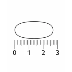 Lucovitaal Super Visolie Omega 3 60 capsules